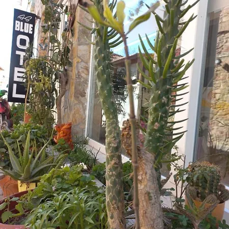 Blue 호텔 Çeşme
