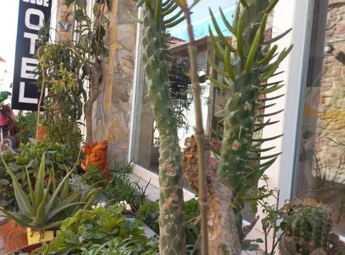 Blue ホテル Çeşme